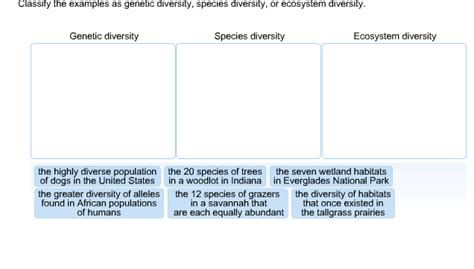 Solved Classify the examples as genetic diversity, species | Chegg.com