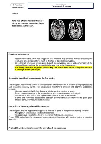 IB Psychology: The amygdala & memory | Teaching Resources