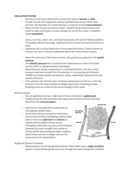 Anatomy Comparative Semester 2 Lecture Notes Anatsc2501