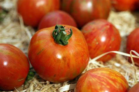 Fotos Gratis Al Aire Libre Fruta Verano Europa Comida Produce