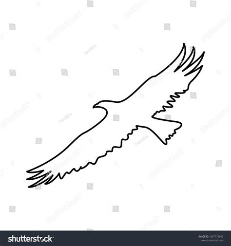 Eagle Icon Vector Outline Style Isolated Stock Vector (Royalty Free ...