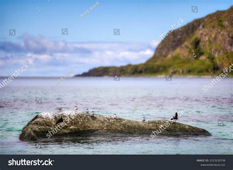 Hauklandstranda Images Stock Photos Vectors Shutterstock