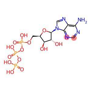 9H Purin 6 Amine 9 5 O Hydroxy Hydroxy Phosphonooxy Phosphinyl Oxy