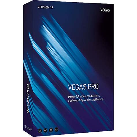 Magix Vegas Pro Reverb