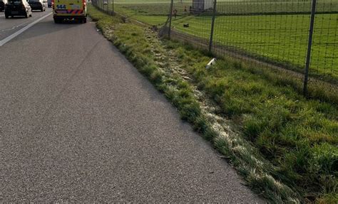 Oensingen SO A1 Sattelschlepper Durchbricht Wildschutzzaun