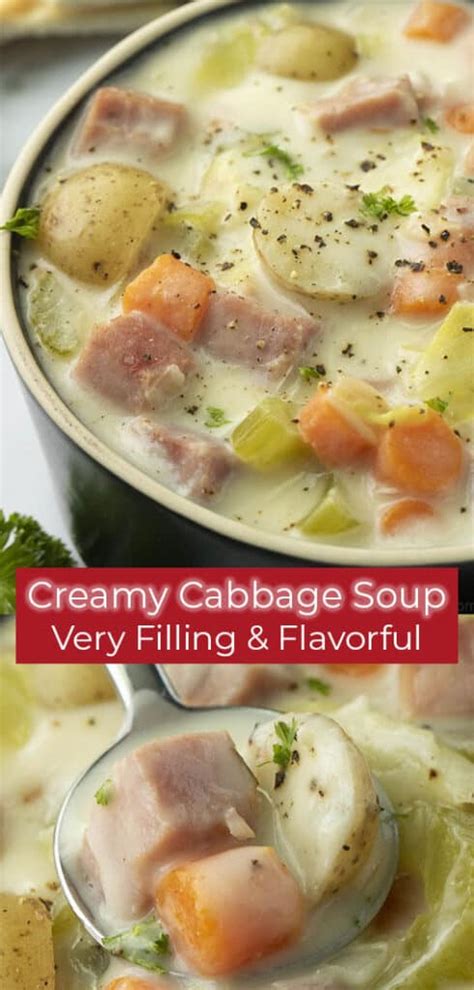 Creamy Cabbage Soup Cincyshopper