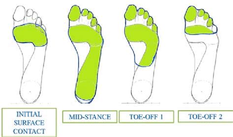 Heel And Forefoot Strikes During Walking And Running Figure 11