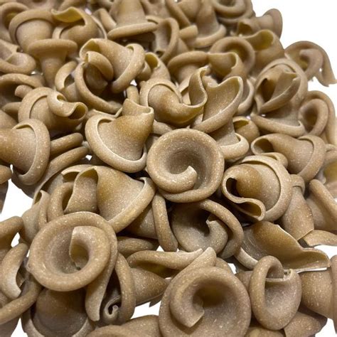 Porcini mushrooms Pasta bulk YOU-PI des pâtes