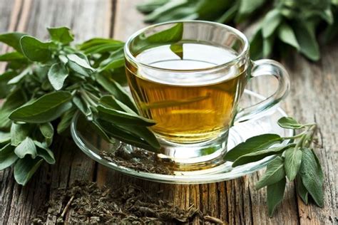 Té verde 13 beneficios propiedades y cómo consumirlo Tua Saúde