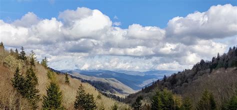 That Smokies Sky Rappalachia