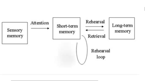 Memory Diagram Quizlet