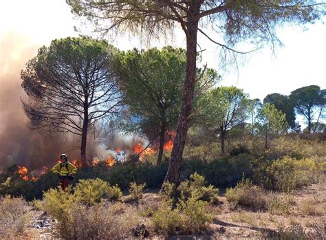 El 70 del perímetro del fuego en Bonares Huelva está ya asegurado