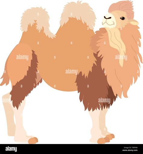 Vector Flat Cartoon Animal Clip Art Bactrian Camel Stock Vector Image