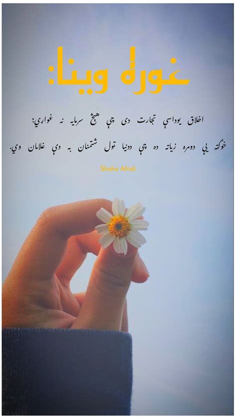 Pashto Quotes: Inspiring Words in the Pashto Language