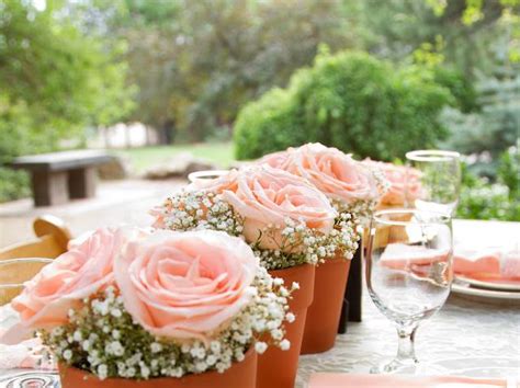 152 Best Images About Potted Flower Wedding On Pinterest Flower