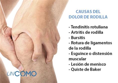 En Expansi N Microsc Pico P Rrafo Dolor En La Rodilla Al Subir Las