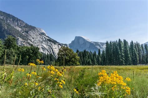 Best Time to Visit Yosemite National Park | SheBuysTravel