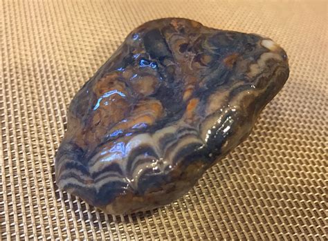 Geologic Therapy South Dakota Agates Petrified Wood Dakota Birder