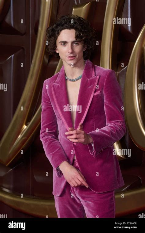 London UK November 2023 Timothee Chalamet Dargestellt Bei Der