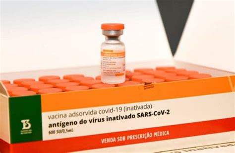 Segunda Dose Da Vacina Contra Covid Deve Ser Tomada Fora Do Prazo