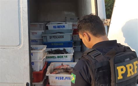 Polícia apreende 1 2 tonelada de peixe transportado de forma irregular