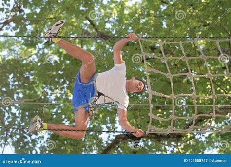 Man Climbing Tree Stock Image Image Of Holidays Cute 174508747