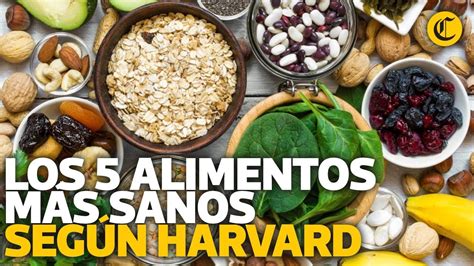 Los cinco alimentos más sanos del mundo según Harvard YouTube