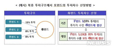 무늬만 사모펀드 차단모펀드 30이상 투자시 투자자수 합산 공감언론 뉴시스통신사