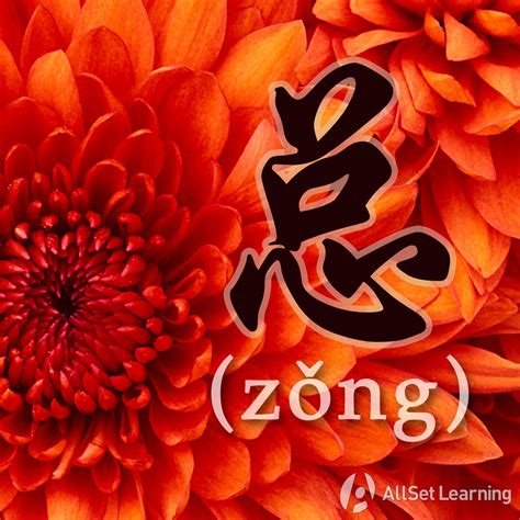 advanced   zong chinese grammar wiki