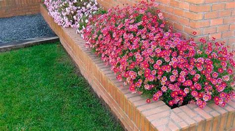 Así se hace una jardinera de ladrillos Ferretería EPA