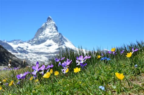 Wur Busreise Schweiz Jetzt Buchen