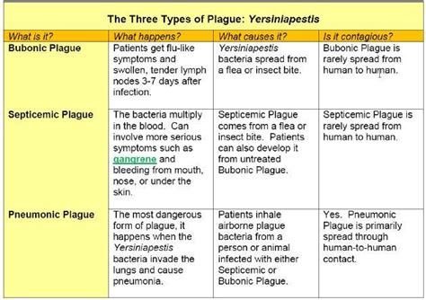 Summarize The Three Types Of Plague Presented In The Chart Discuss