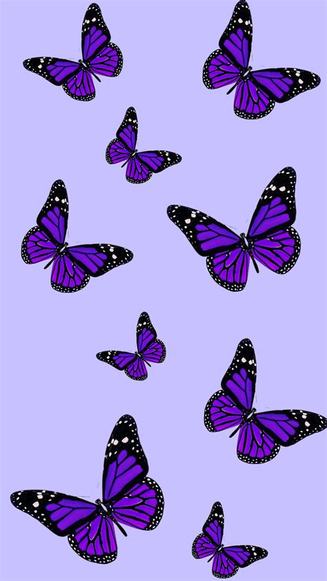 Wallpaper Butterfly Borboleta