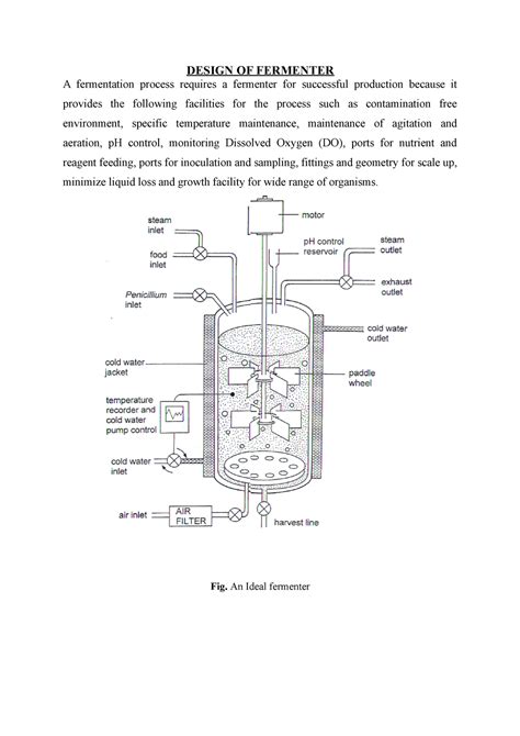 Design Of Fermenter Fermenter Design Design Of Fermenter A