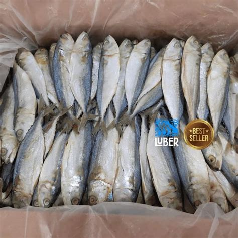 Jual Kembung Asin Kering Ikan Asin Kembung Peda Putih 1kg Shopee