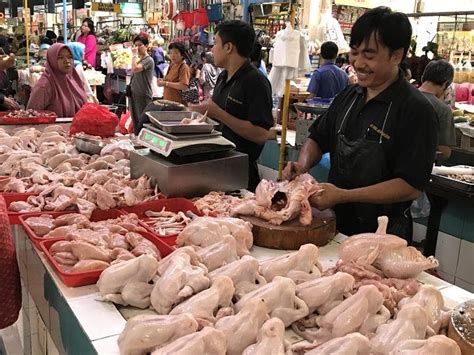 Kisah Pedagang Ayam Segar Di Pasar Modern Koran