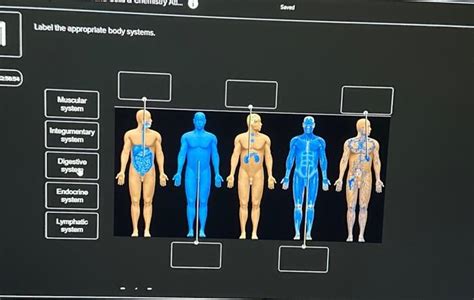 Solved Homeostasis and feedback loops with examples | Chegg.com