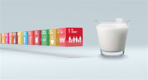 World Milk Day 2021 Focuses On Dairy Sustainability Idf Idf Is The