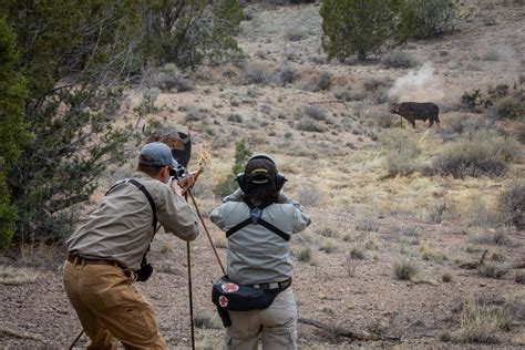 Bullet Ricochets Are More Common Than You Think Outdoor Life