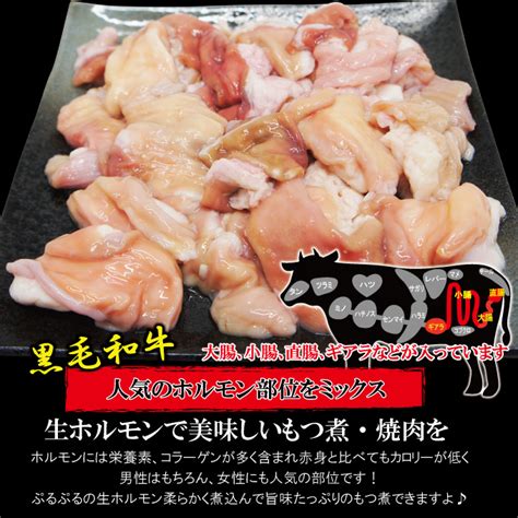 黒毛和牛生ホルモンモツ煮込み・焼肉用500g冷凍 もつ 腸 鍋 そうざい男しゃく｜お弁当・お肉・お惣菜の通販