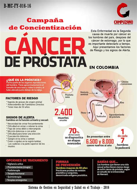 Prevencion De Cancer De Prostata