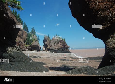 Hopewell Rocks at low tide, Fundy Bay, Canada Stock Photo - Alamy