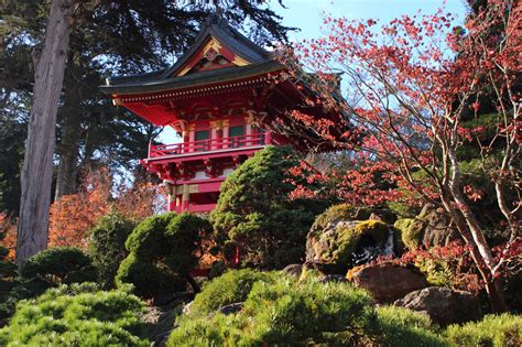 Fall Foliage Where To See Autumn Colors In The San Francisco Bay Area