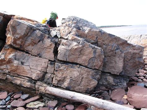 Thin Beds Of Limestone Separated By Low Amplitude Irregula Flickr