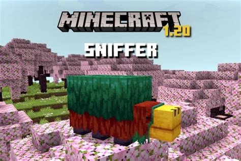 Minecraft Sniffer Everything You Need To Know Beebom