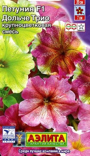 Петуния Дольче Трио: описание сорта, характеристики, тонкости посадки и ...