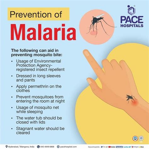 Malaria Symptoms Causes Types Complications Prevention 51 OFF