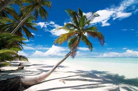 Cocos Keeling Islands Cocos Island Vacation Spots Island