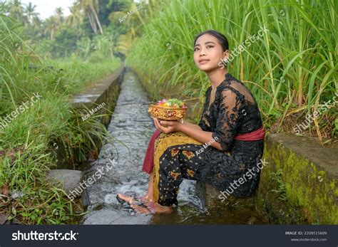 Young Bali Girl Traditional Clothing Sits Stock Photo 2209515609