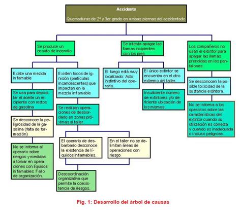 El Método árbol De Causas Istas Seguridad E Higiene Arboles Causas